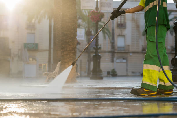 Best Local Pressure Washing Services  in Flemington, GA