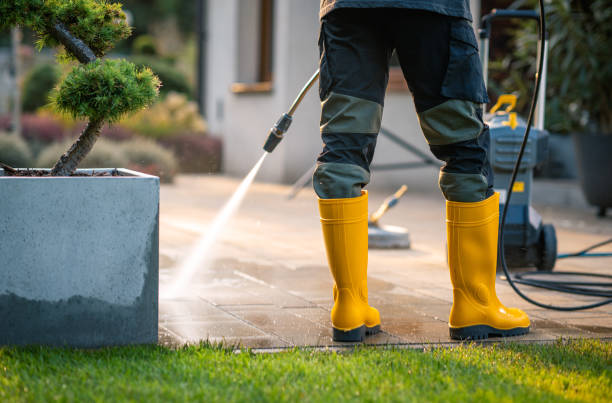 Best Exterior Home Cleaning  in Flemington, GA